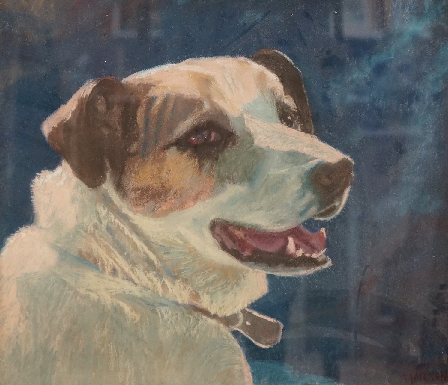 A. Jackson, pastel, Portrait of a dog, signed, 38 x 42cm